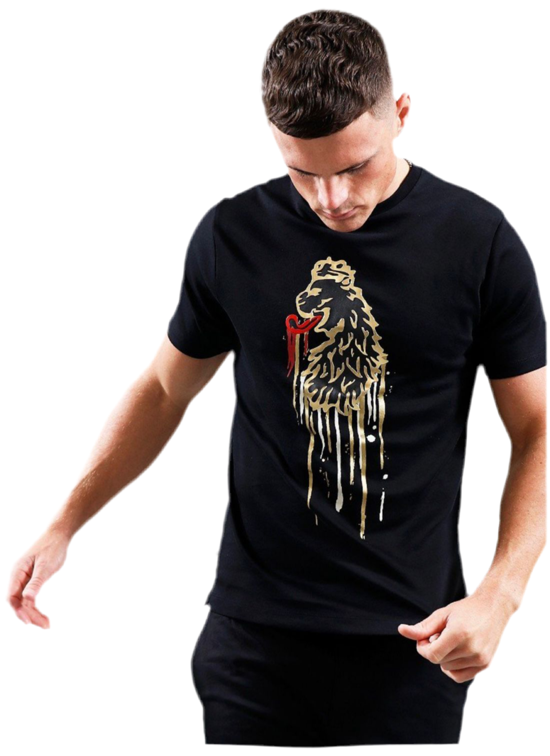 Luke M770154 Drip tease gloss lion t shirt Colour Black 